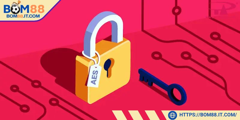 Nền tảng áp dụng mã hóa SSL 256bit